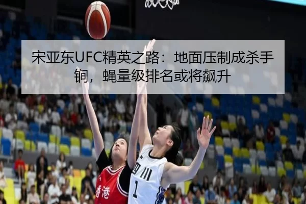 song-ya-dong-jing-ying-zhi-lu-di-mian-ya-zhi-cheng-sha-shou-jian-ying-liang-ji-pai-ming-huo-jiang-biao-sheng-2-379.jpg