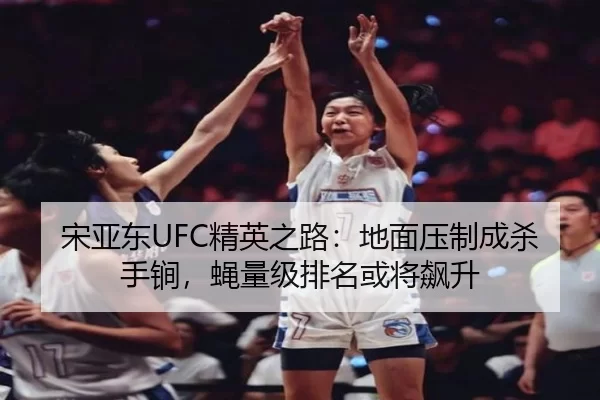 song-ya-dong-jing-ying-zhi-lu-di-mian-ya-zhi-cheng-sha-shou-jian-ying-liang-ji-pai-ming-huo-jiang-biao-sheng-3-858.jpg